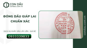 Cách đóng dấu giáp lai chuẩn xác theo quy định | Condau.com.vn